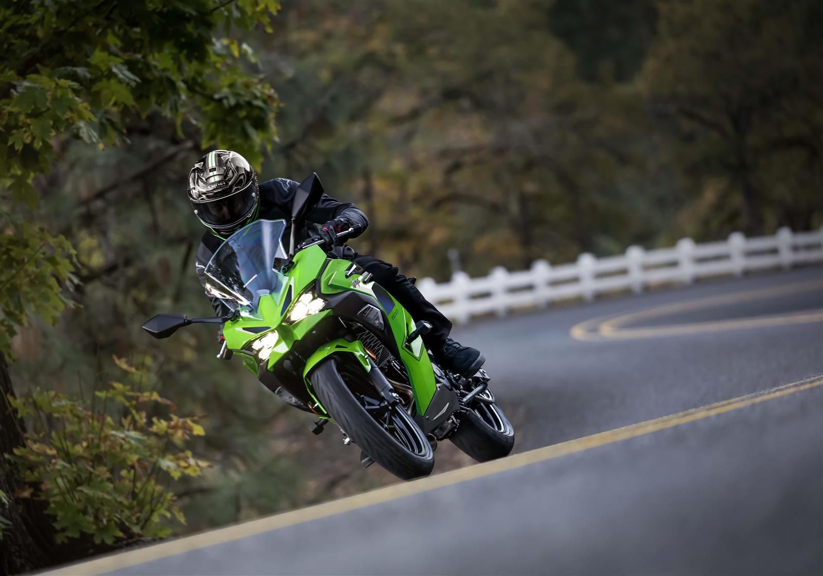 Kawasaki Ninja 500 SE