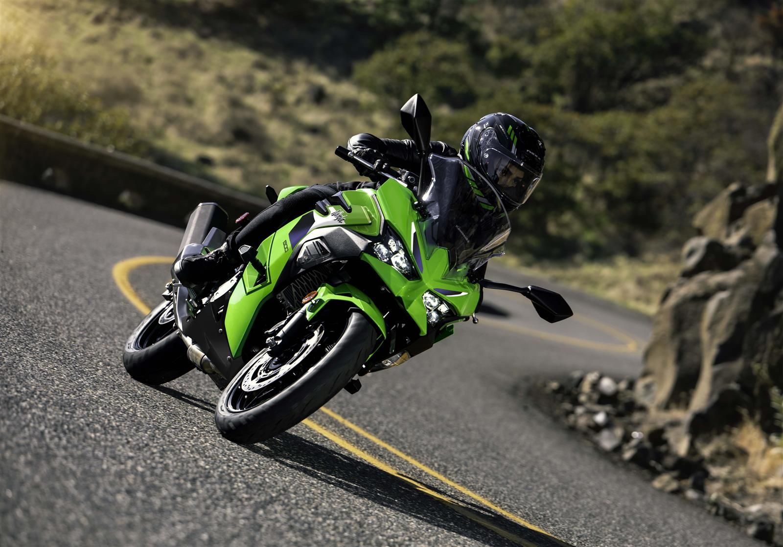 Kawasaki Ninja 500 SE