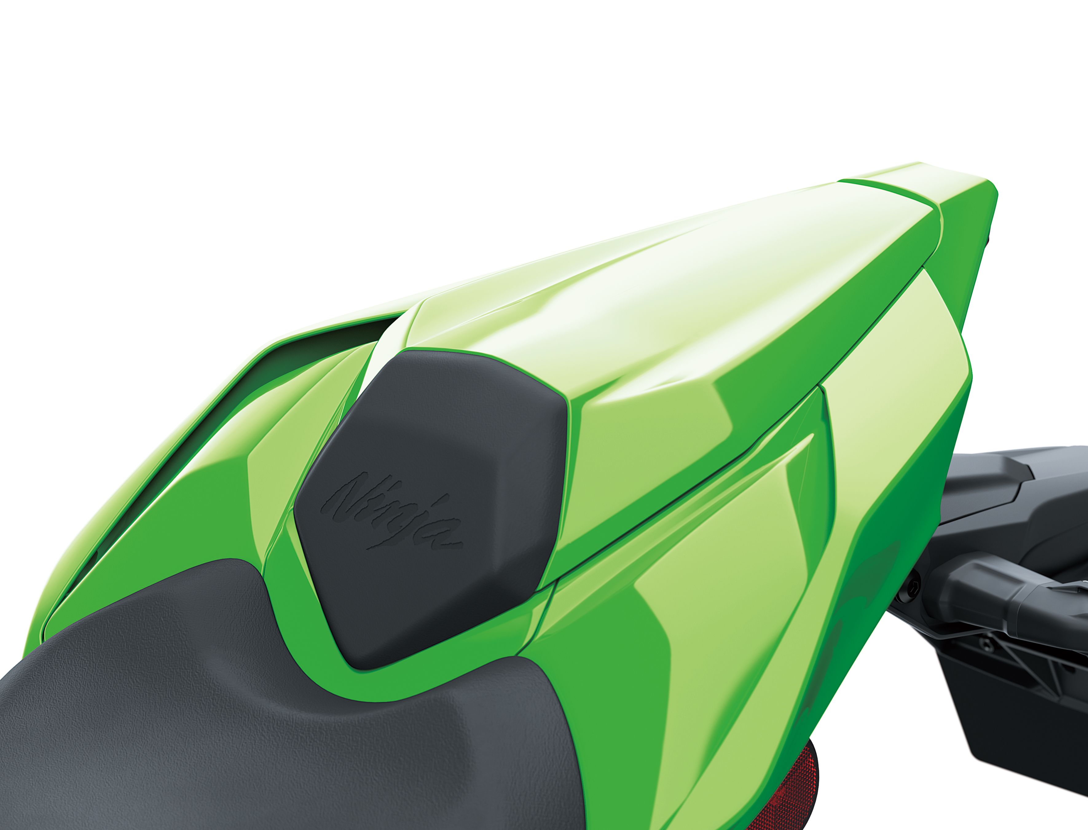 Kawasaki Ninja ZX-10RR