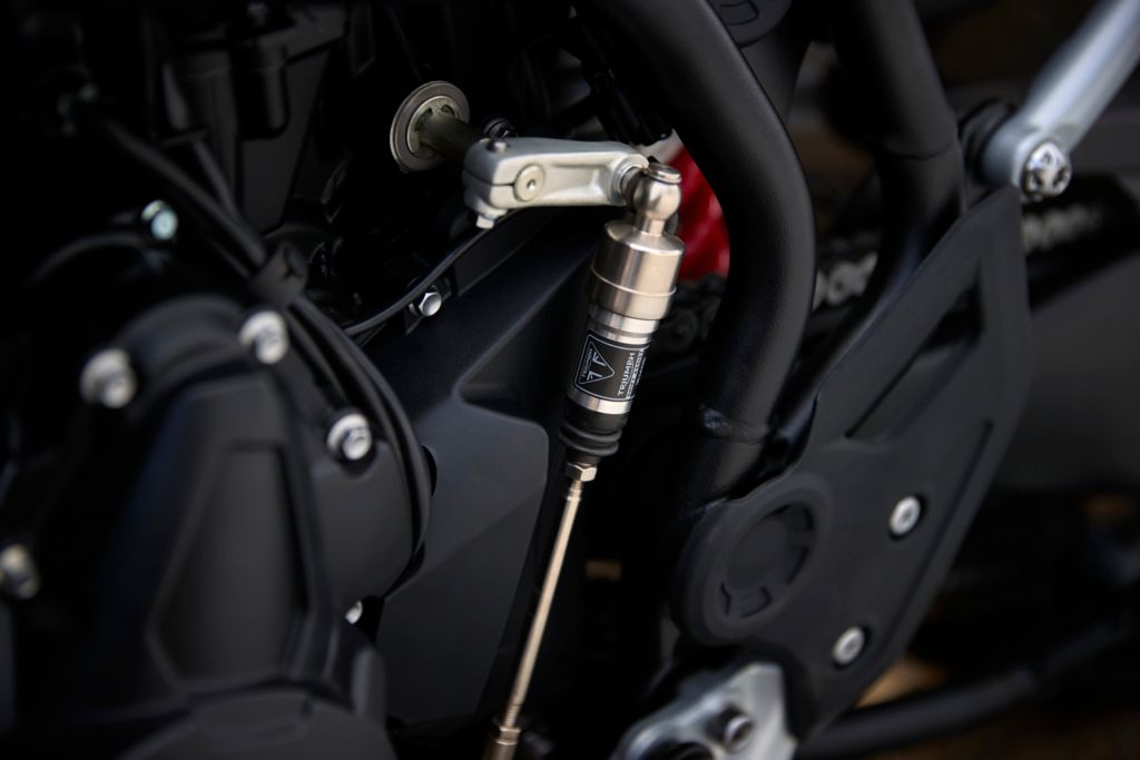 Triumph Tiger 900 Alpine Special Edition