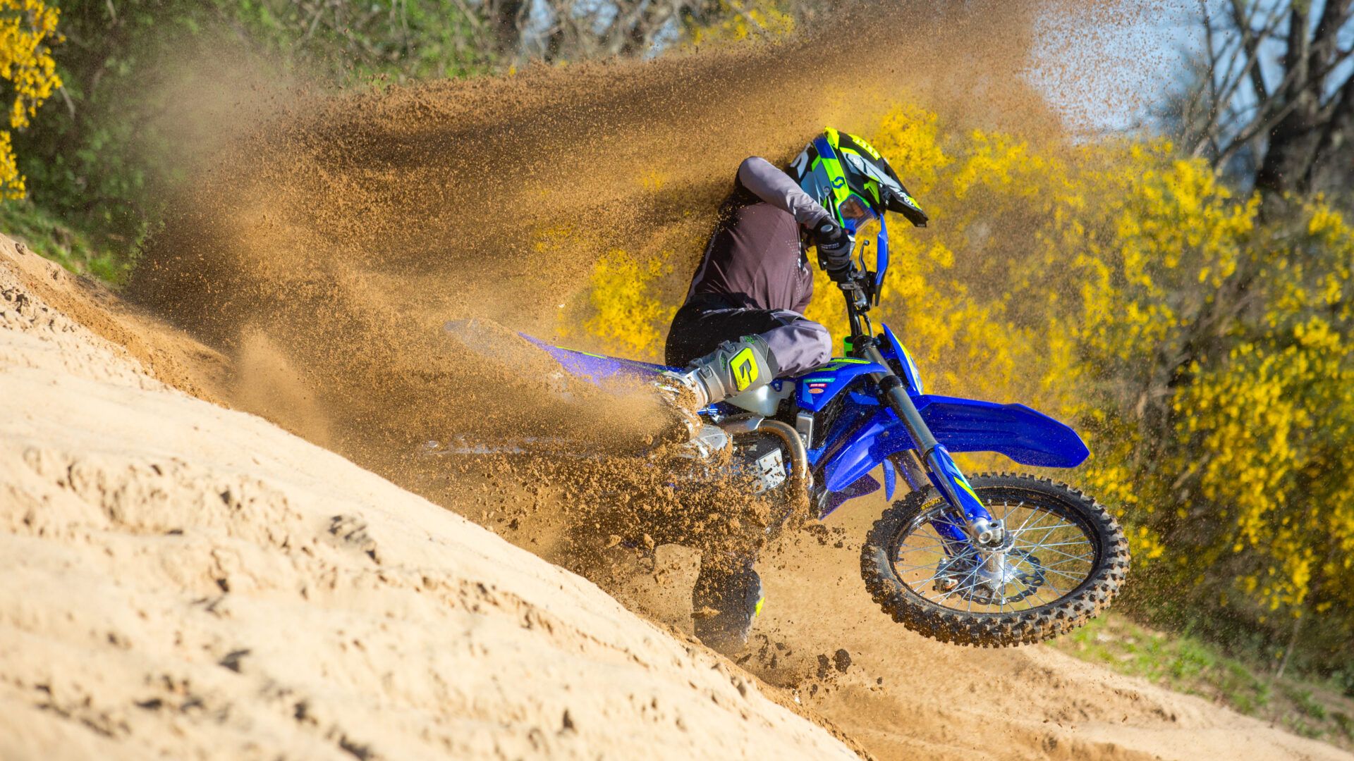 Sherco 250 SEF Factory