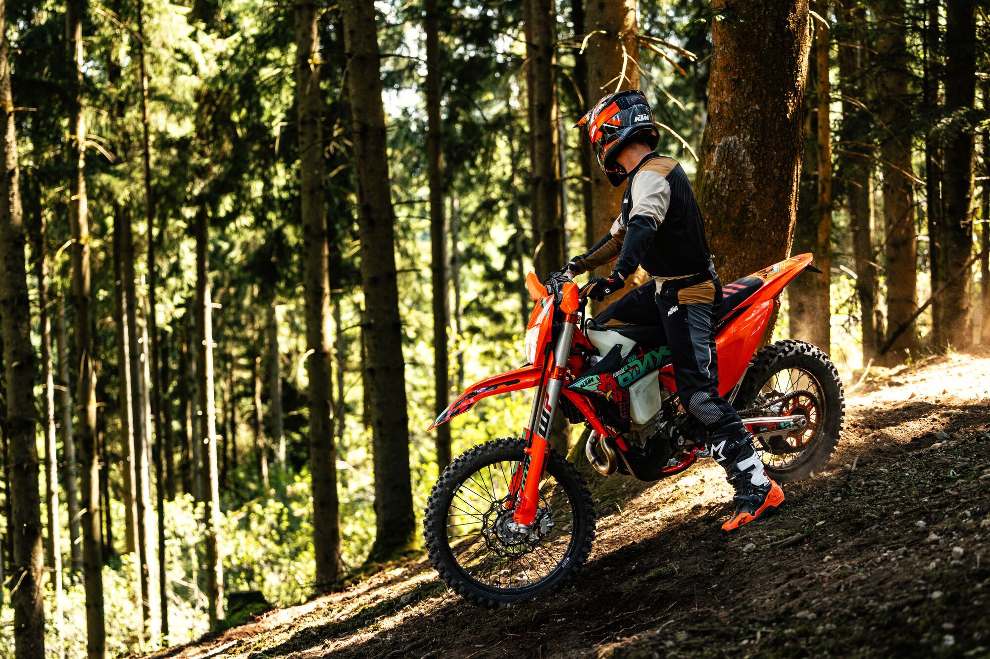 KTM 450 EXC-F Six Days