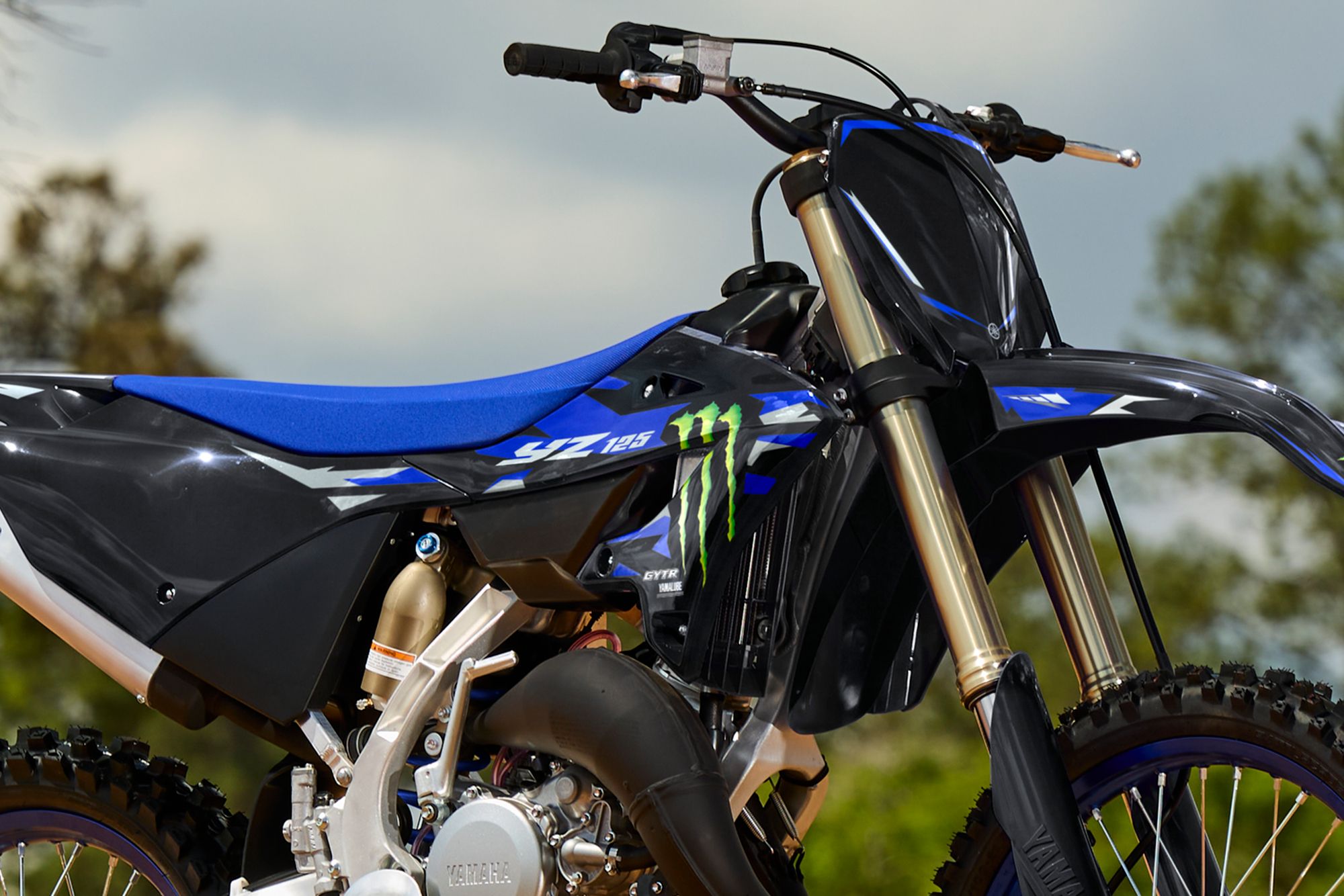 Yamaha YZ125 Monster Energy Yamaha Racing Edition