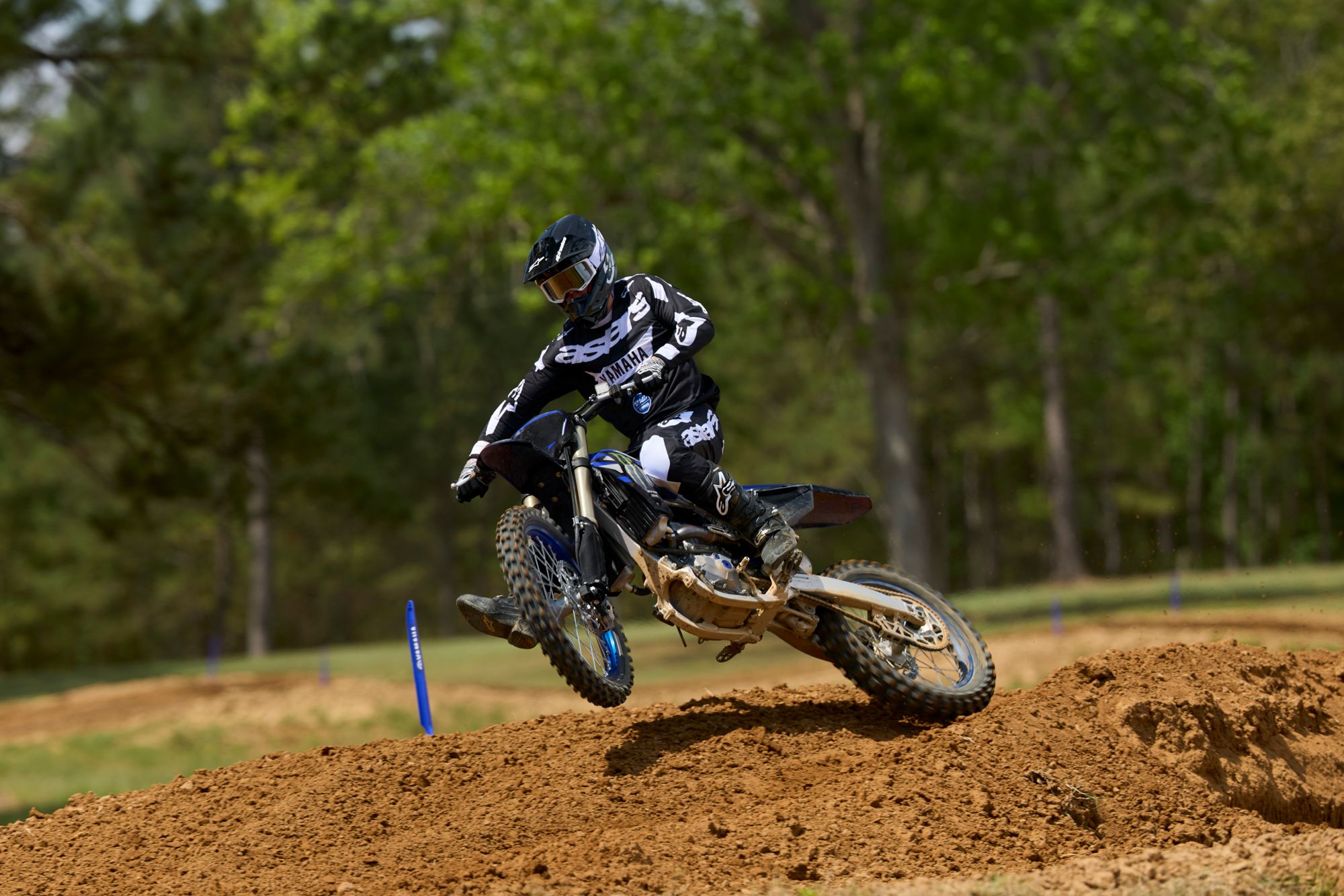 Yamaha YZ250F Monster Energy Yamaha Racing Edition