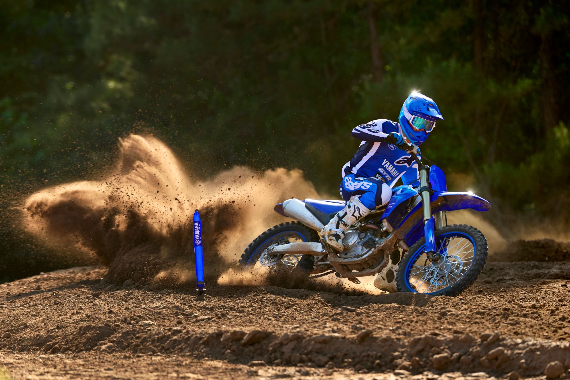 Yamaha YZ250F Monster Energy Yamaha Racing Edition