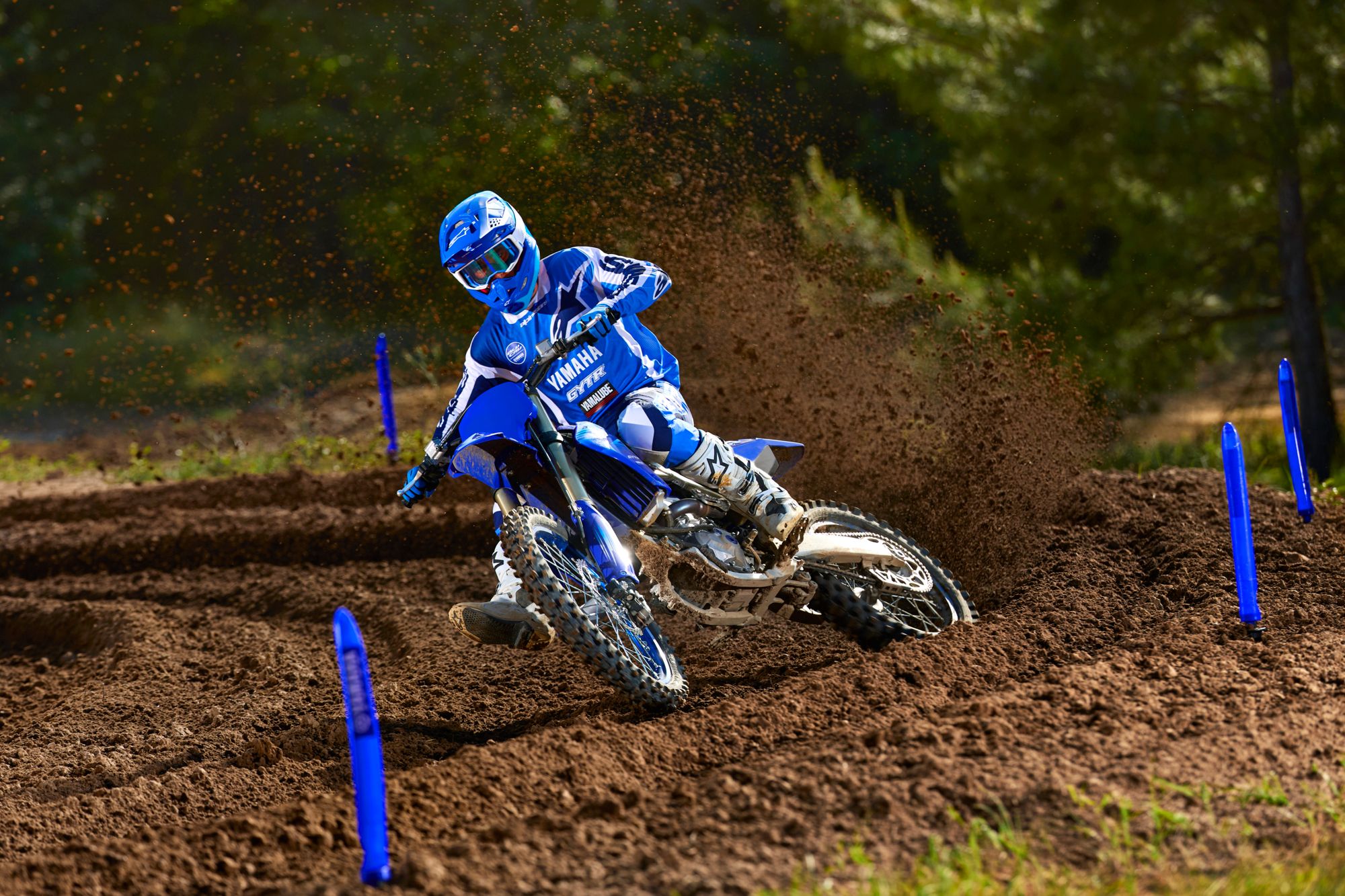 Yamaha YZ250F Monster Energy Yamaha Racing Edition