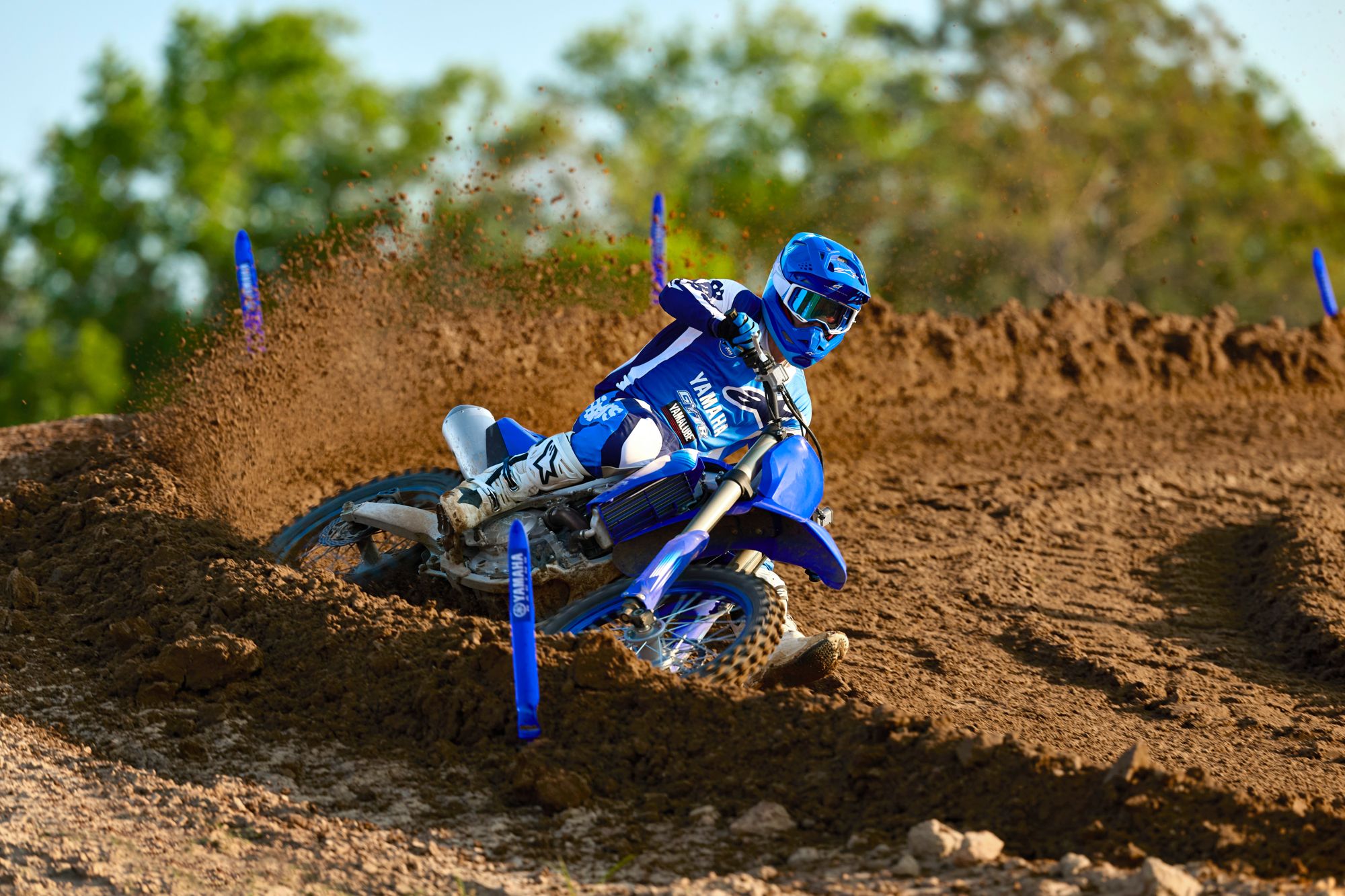 Yamaha YZ250F Monster Energy Yamaha Racing Edition