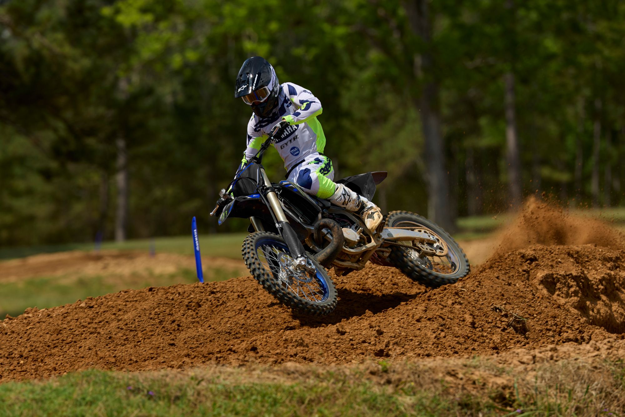 Yamaha YZ250 Monster Energy Yamaha Racing Edition