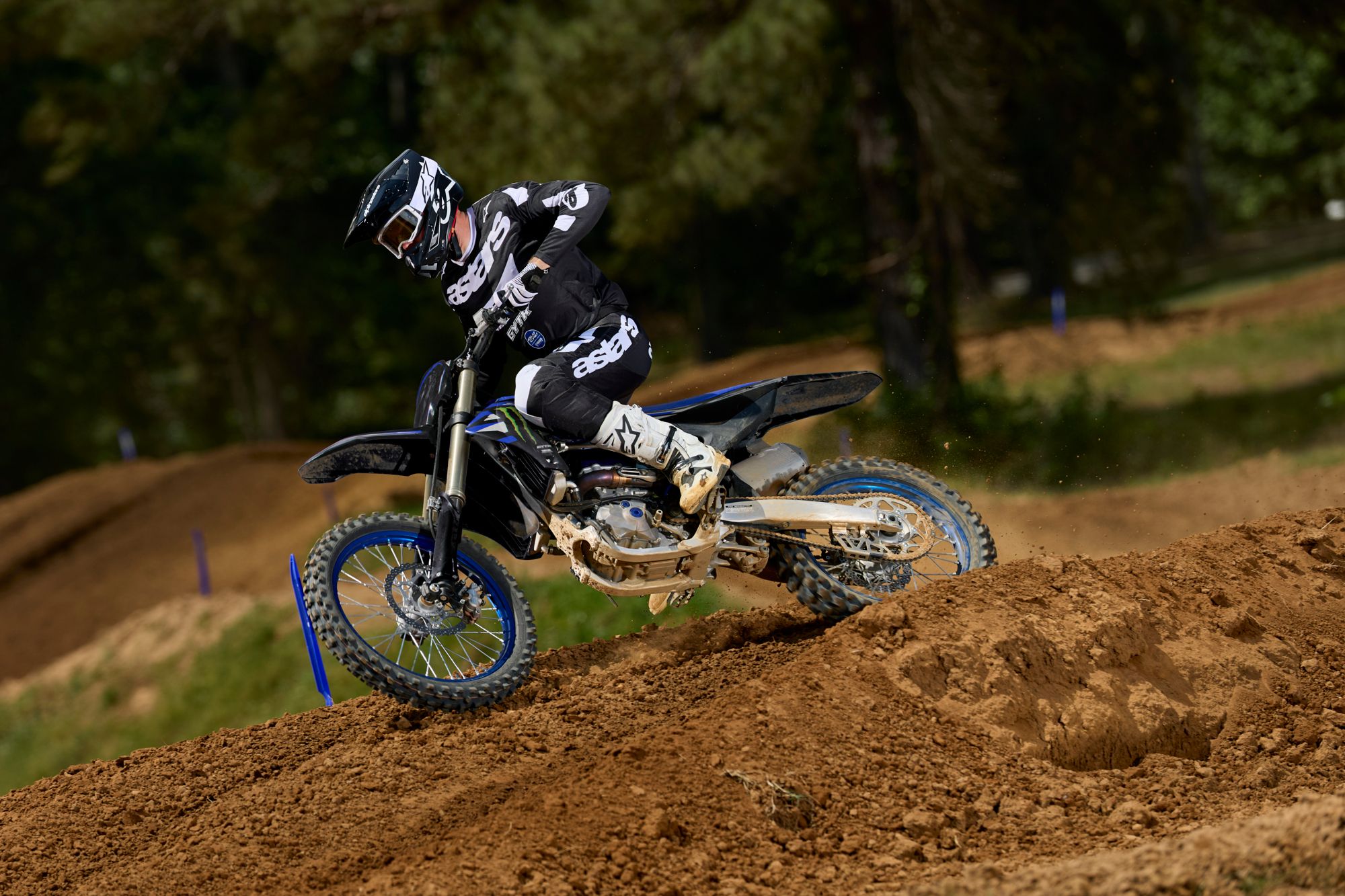 Yamaha YZ450F Monster Energy Yamaha Racing Edition