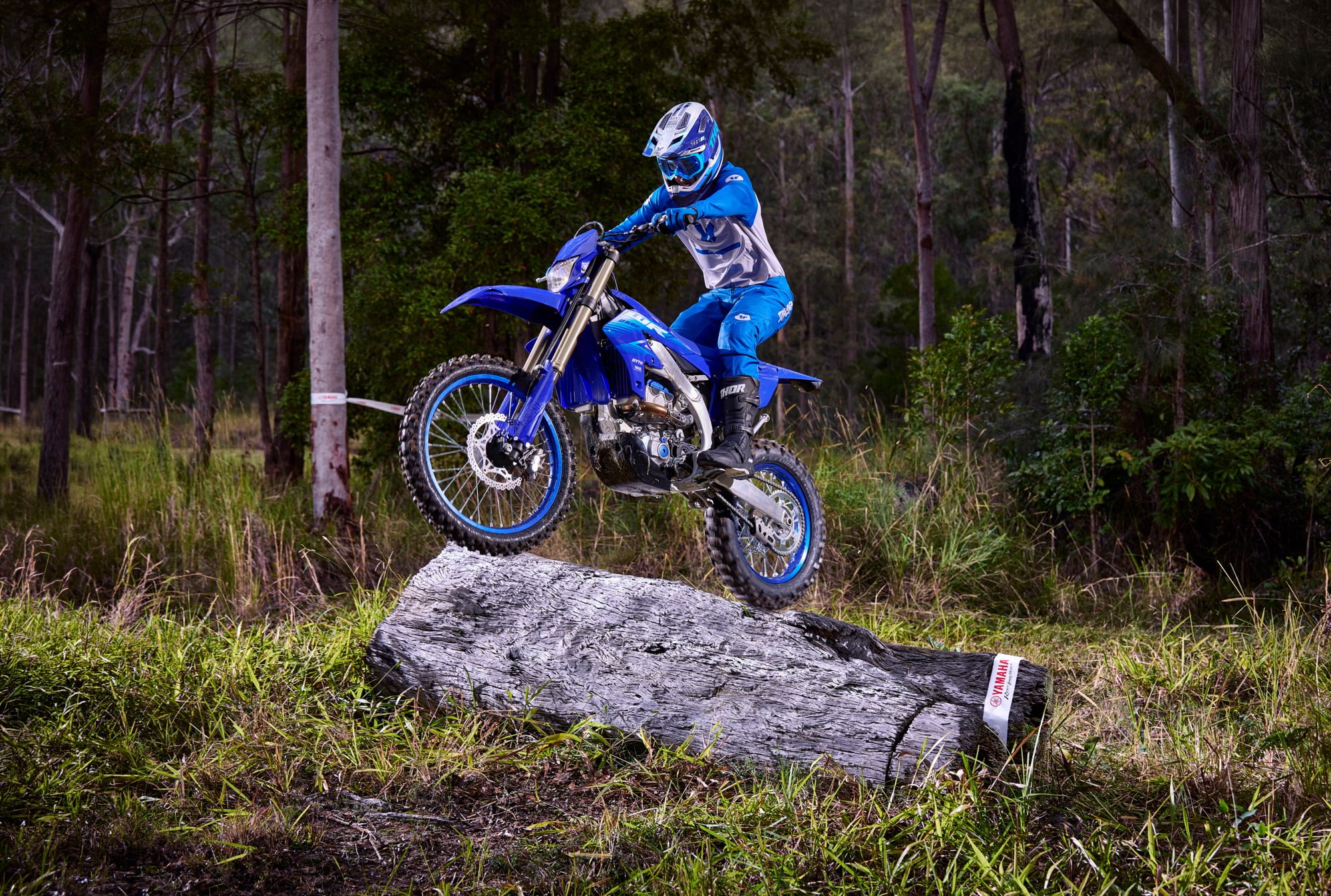 Yamaha WR250F