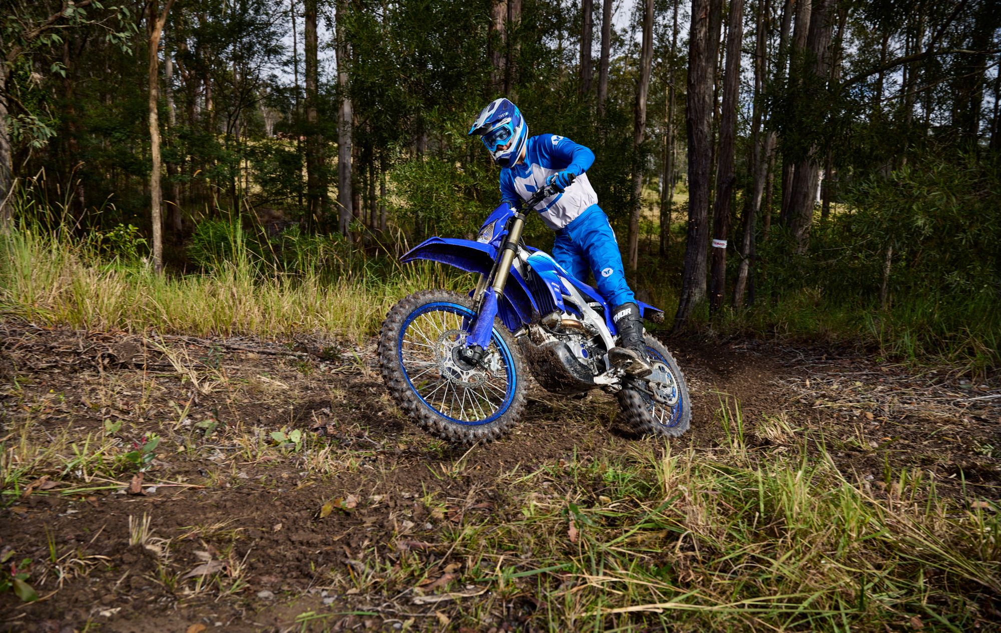Yamaha WR250F
