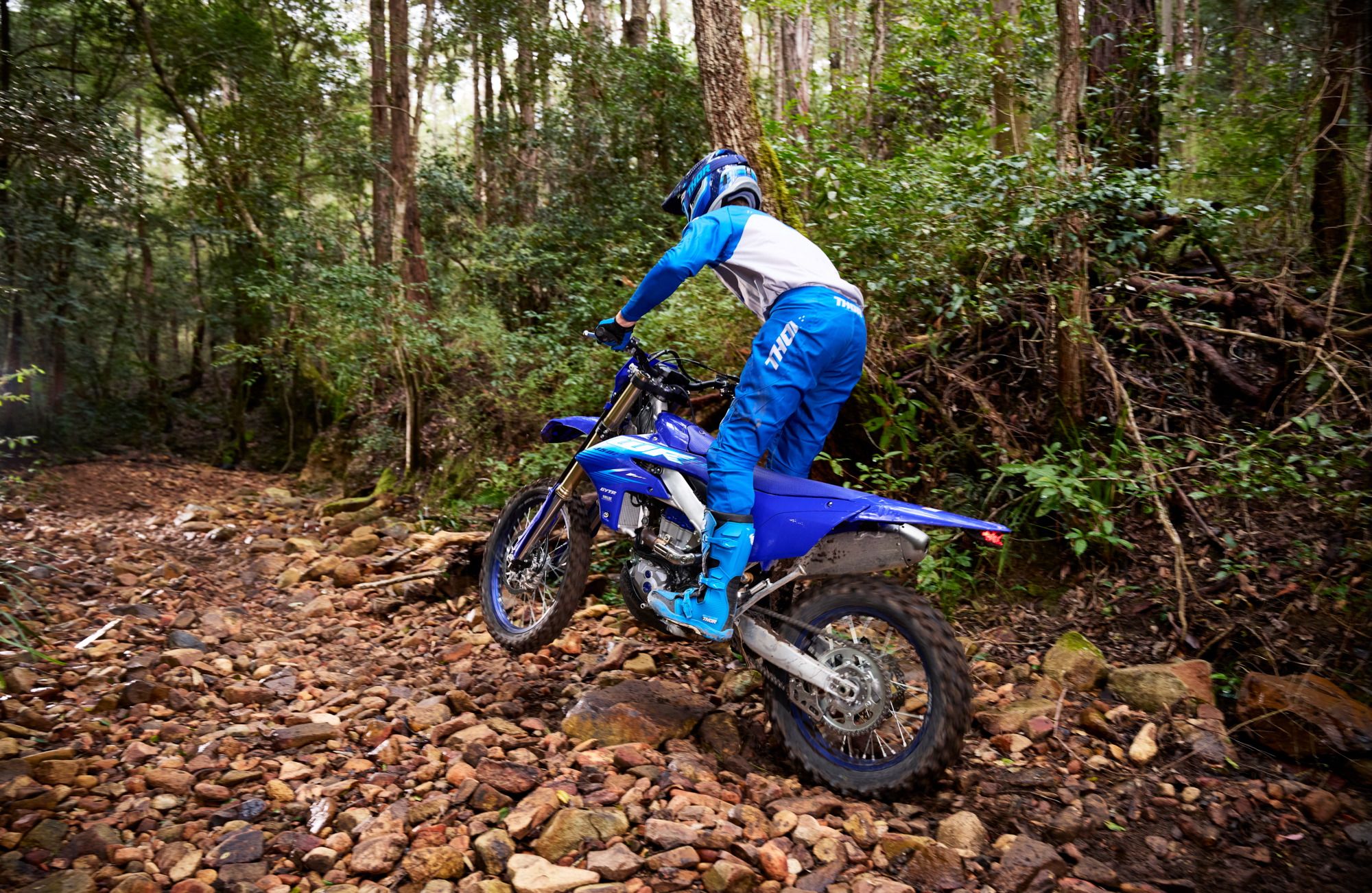Yamaha WR250F