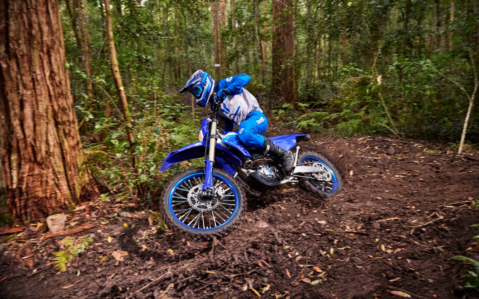 Yamaha WR250F