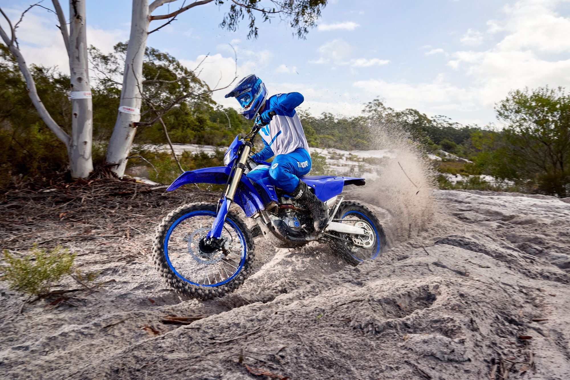 Yamaha WR250F