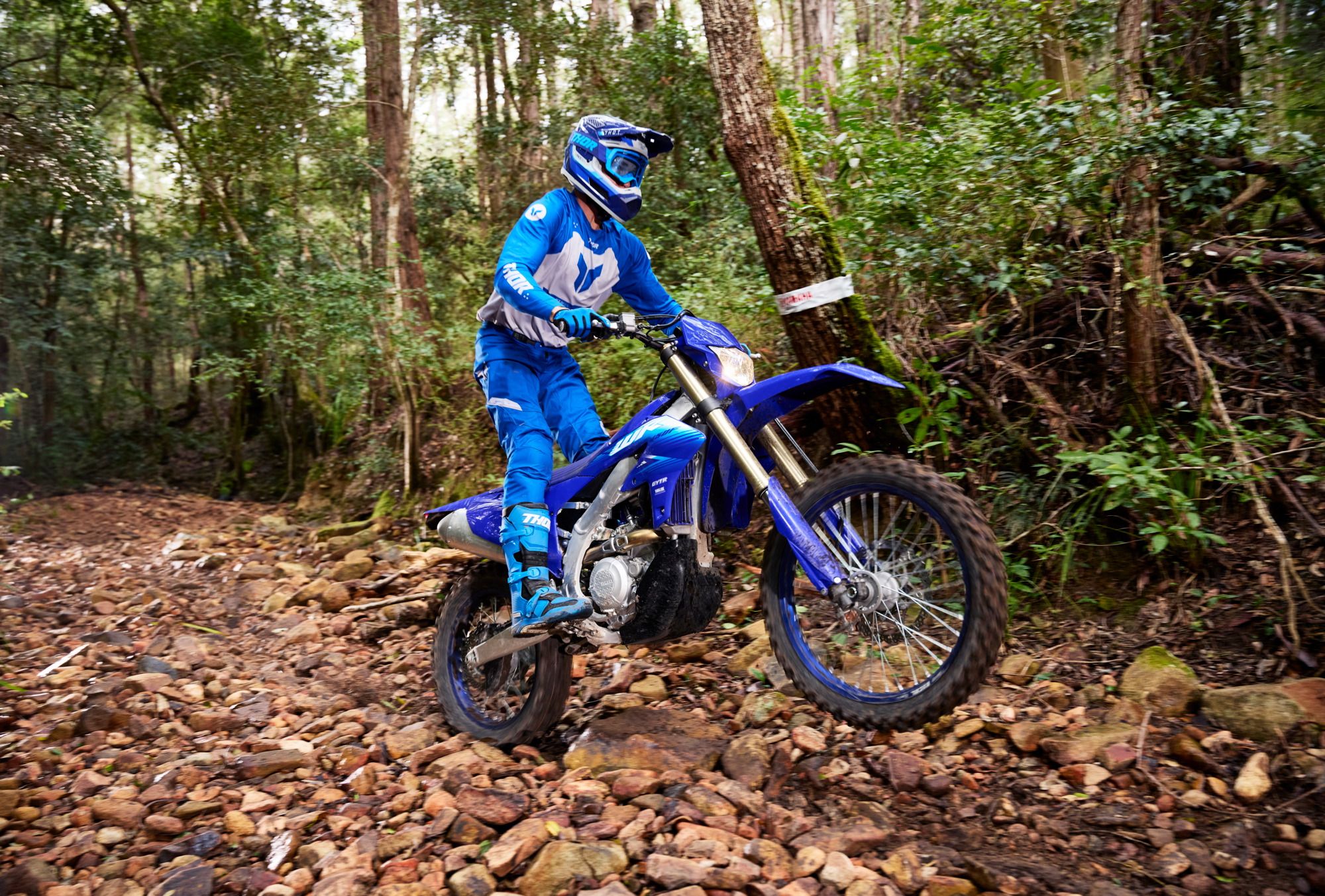 Yamaha WR450F