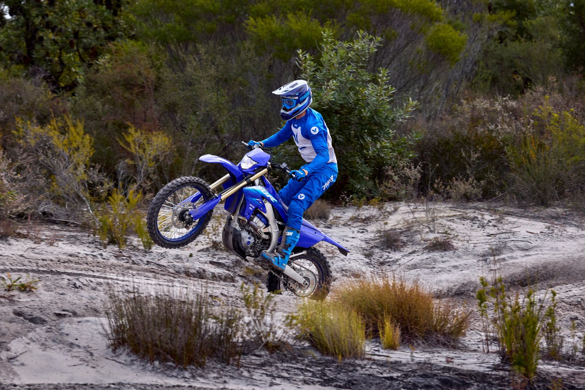 Yamaha WR450F